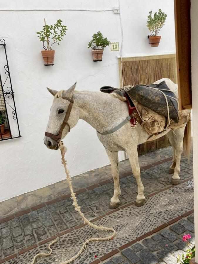 Casa Rural Villa Sila Benalauría Esterno foto